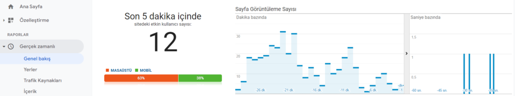 Gerçek Zamanlı Verilere Erişim