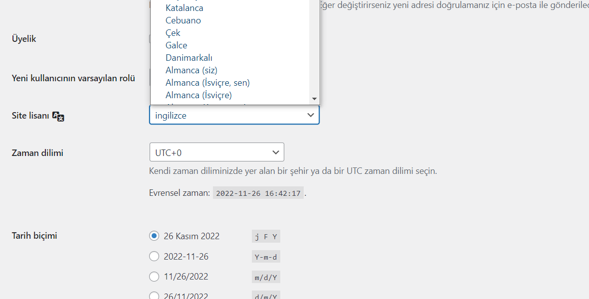 Açılır menüyü tıkladığınızda, web sitenizde zaten yüklü olan dilleri göreceksiniz. Ek olarak, WordPress temanıza göre hangilerinin kurulum için uygun olduğunu göreceksiniz.