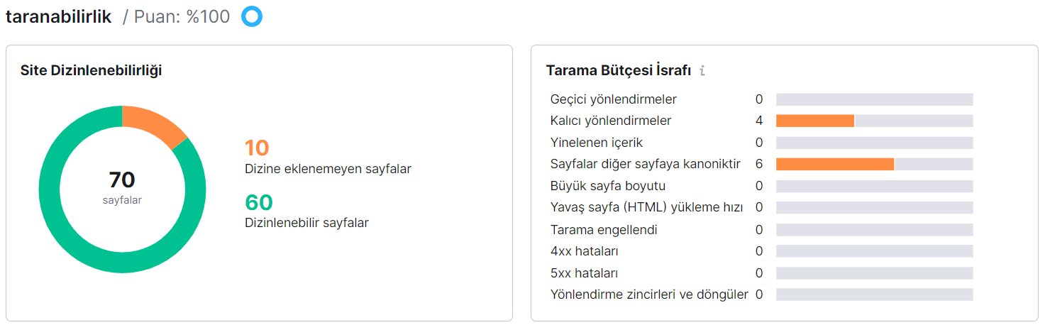 Sitenizdeki herhangi bir sorun veya hata hakkında daha fazla bilgi edinmek için Site Denetiminde Taranabilirlik raporunu açın.