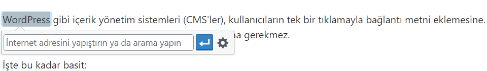 Açılan alana hedef bağlantınızı ekleyin ve düz metniniz bağlantı metnine dönüşecektir.