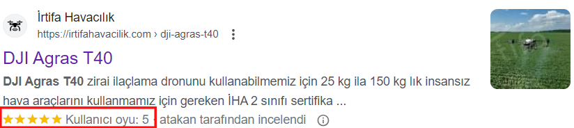 Zengin bir snippet şuna benzerken.