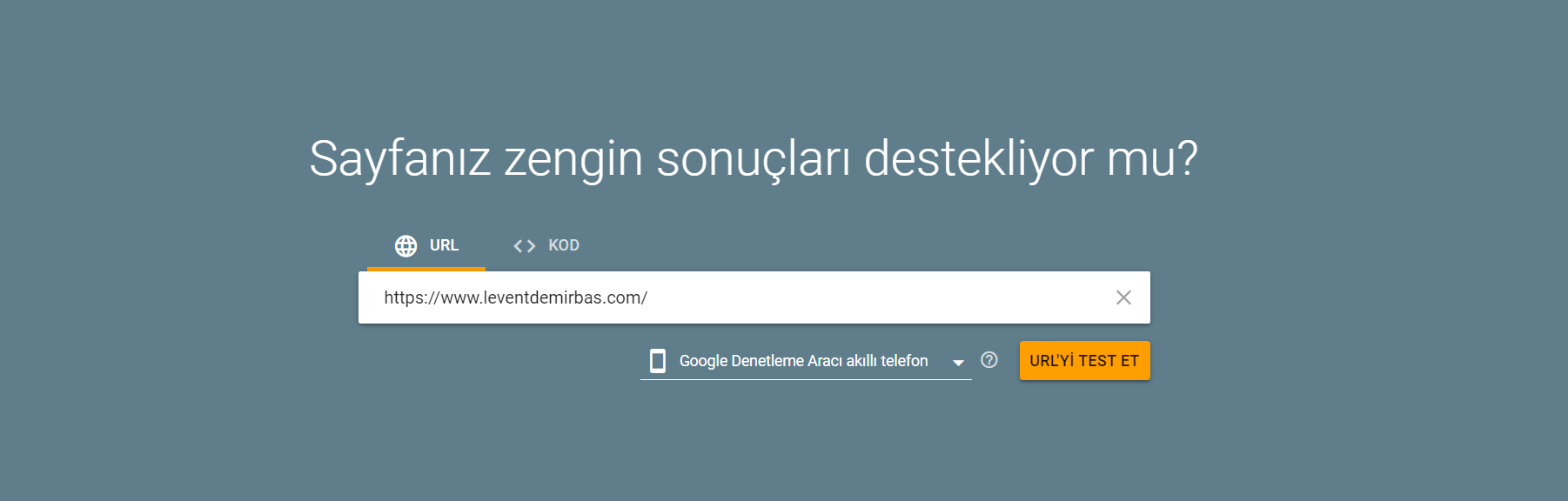 Son adım, yapılandırılmış verilerinizin doğru şekilde ayarlandığından emin olmaktır. Google'ın Zengin Sonuçlar Testi bu konuda size yardımcı olabilir. Araca bir URL girin ve " URL'yi Test Et "i tıklayın.