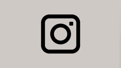 Instagram Profosyonel Hesap Nedir?